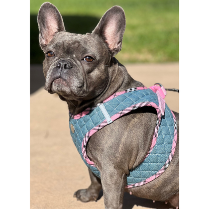 Step-In Denim Harness - Pink Plaid