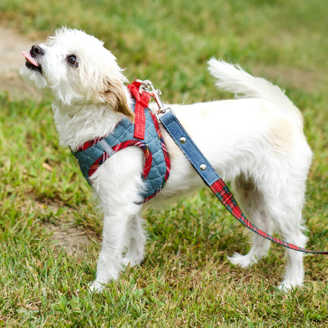 Step-In Denim Harness - Red Plaid